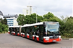 SOR_NB18_6953.JPG