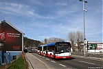 Solaris_1110.jpg