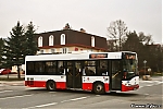 Solaris_2044-1.jpg