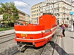 T3M_5572.jpg
