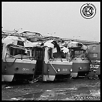 Název souboru=T3M_8044.jpg
Velikost souboru=351KB
Rozměry=828x828
Datum přidání=15. Leden 2016 T3M_8044.jpg