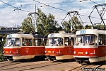 T3M_8086.jpg