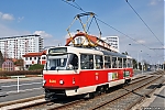 T3RP_8446.jpg