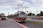 T3R_PLF_8259.jpg