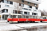 T3R_P_8351.JPG