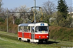 Název souboru=T3SUCS_7121.JPG
Velikost souboru=575KB
Rozměry=1200x800
Datum přidání=15. Leden 2020 T3SUCS_7121.JPG