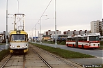 Název souboru=T3_254.jpg
Velikost souboru=278KB
Rozměry=1200x800
Datum přidání=29. Březen 2016 T3_254.jpg