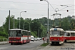 Název souboru=T3_6811.jpg
Velikost souboru=271KB
Rozměry=1200x800
Datum přidání=13. Prosinec 2015 T3_6811.jpg