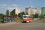T3_6841.jpg