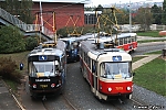 T3_7079~0.jpg