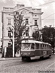 T3_7224.jpg