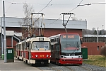 T3_8079.jpg