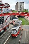 T3_8238.jpg