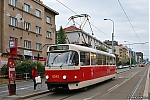 T3_8243.jpg