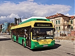 Tedom_5602.jpg