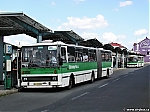 ZL-41-01.jpg