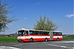 b1.jpg