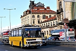 bsb17-10.JPG