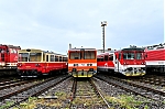 d141.jpg