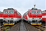 d526.jpg