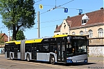 lipsko.jpg