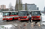 m5.jpg