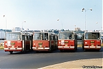 nh_1994.jpg