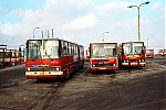 Název souboru=re14.jpg
Velikost souboru=1541KB
Rozměry=1200x800
Datum přidání=31. Leden 2023 re14.jpg